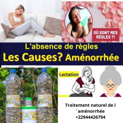 Traitement naturel de l amenorrhee 22944426794