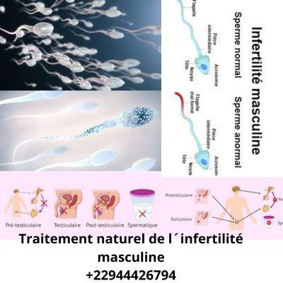 Traitement naturel de l infertilite masculine 22944426794